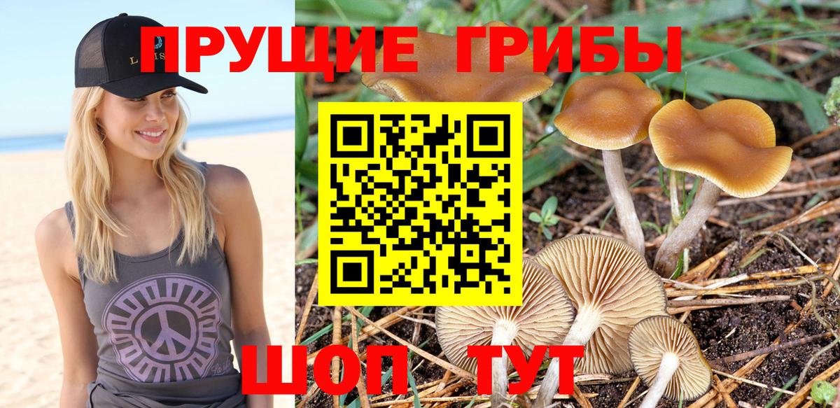 Железноводск  Галлюциногенные грибы мицелий  хочу   Вход с VPN 